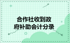合作社收到政府补助会计分录