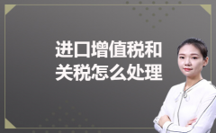 进口增值税和关税怎么处理