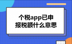个税app已申报税额什么意思